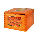 Acid Nasty Cigars Box of 24 4